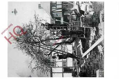 Postcard> Daily Mail Ideal Home Exhibition 1932 Workmen Fix Blossom To Tree • £2.39